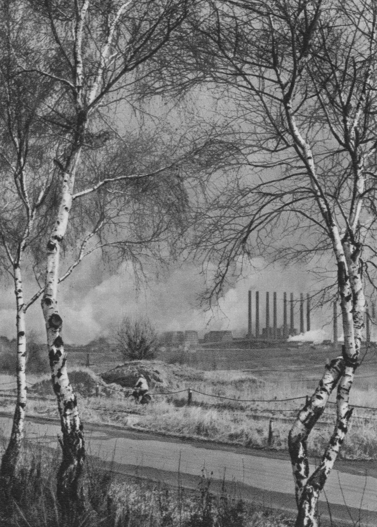 Hommage an eine Anonyme