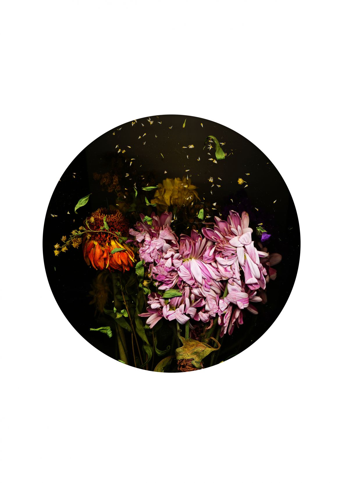 Skizzen-The Day I Died