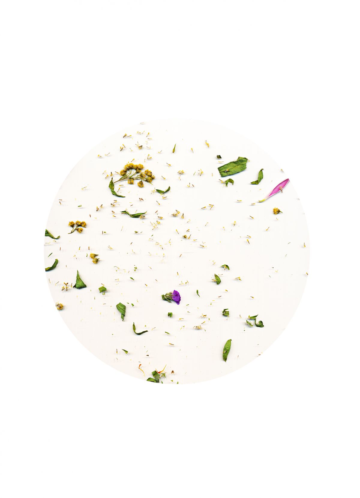 Skizzen-The Day I Died