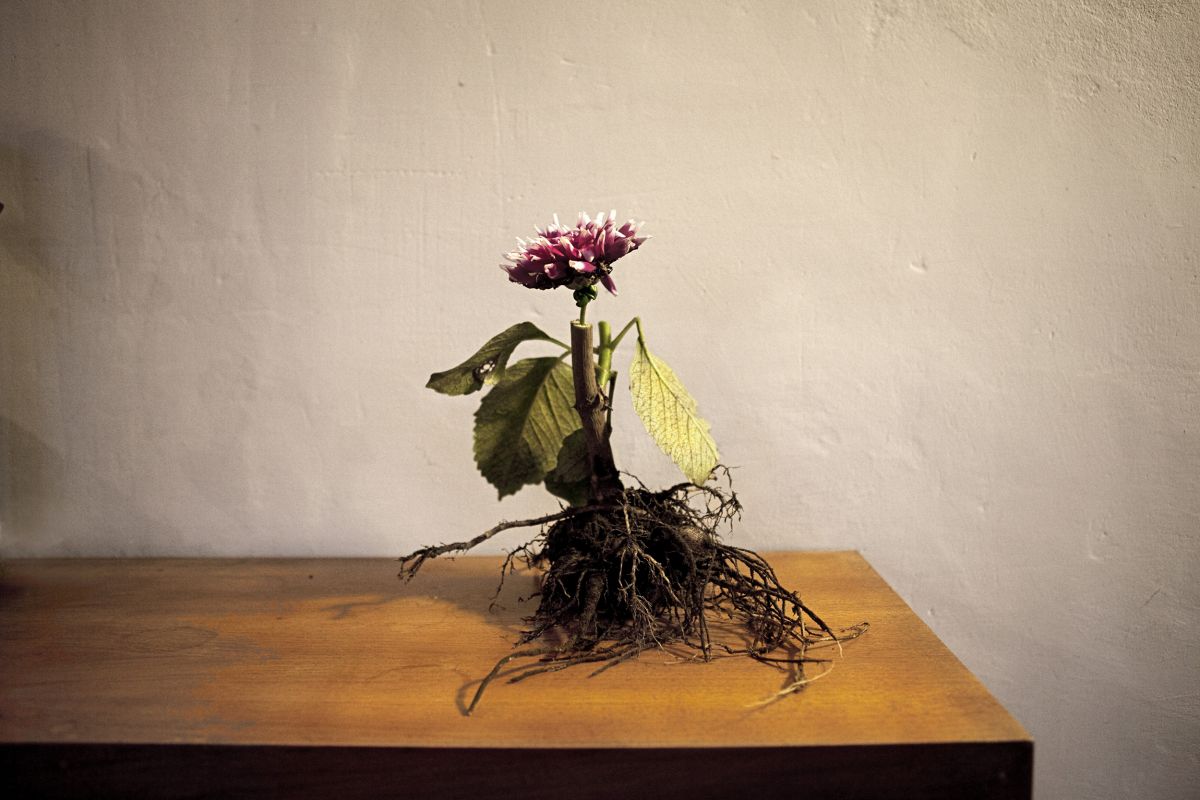 Stillstand in Dunkelblau